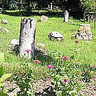 srpen 2004 - Muslimský hřbitov