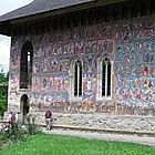 ervenec 2004